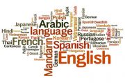 اللغة العربية و التعدد اللغوي في الجزائر