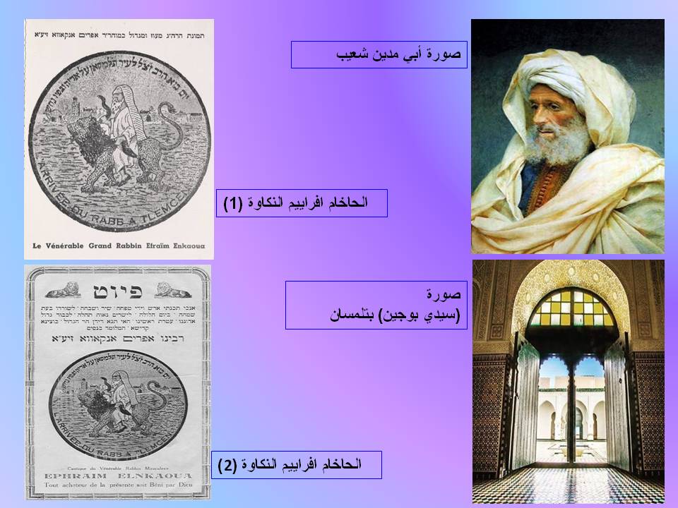 مقال عطار